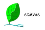 Logo SOMVAS